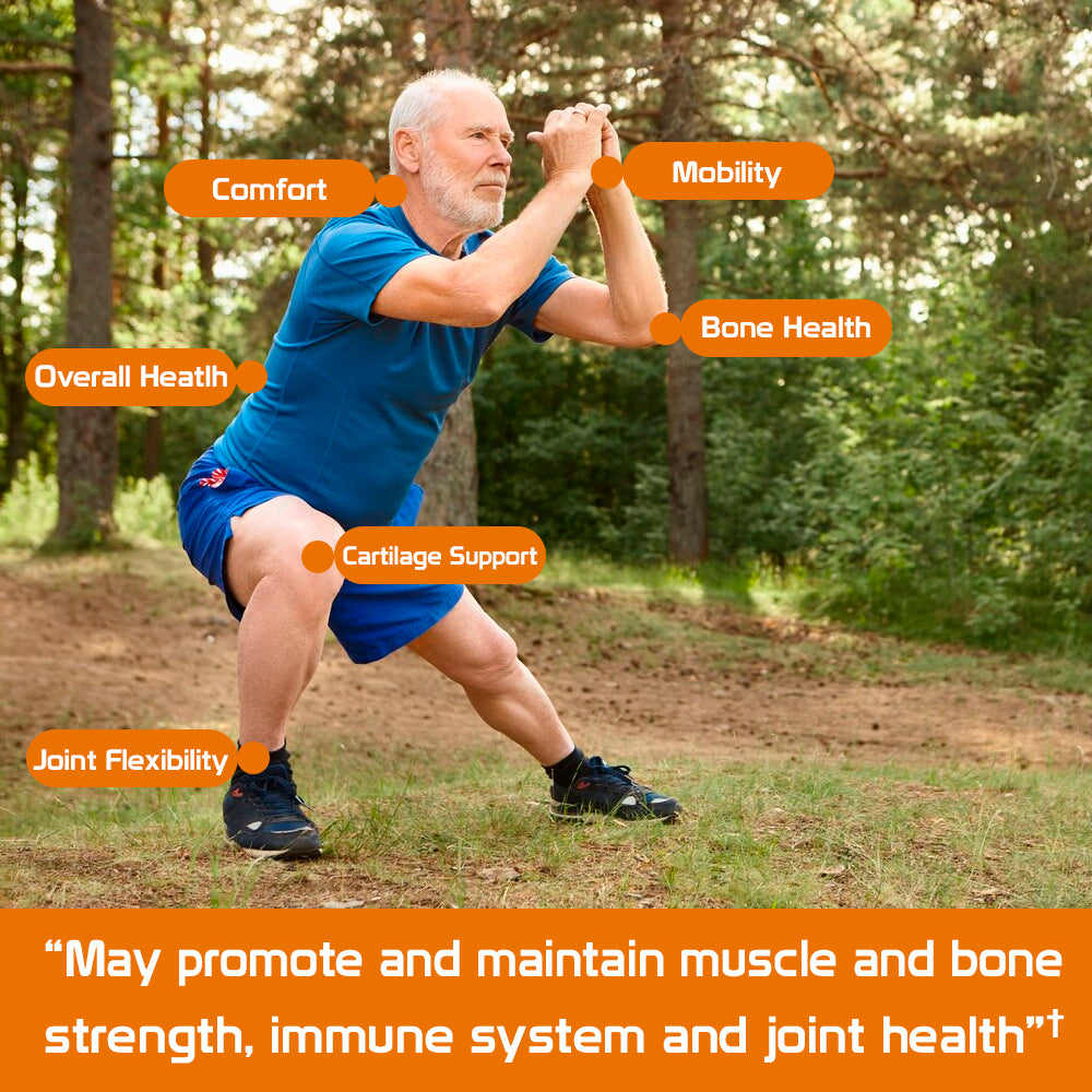 Health Dose Premium Joint Support - Glucosamine Chondroitin MSM Turmeric Boswellia & Hyaluronic Acid - Relieves Inflammation & Discomfort in Back, Knees & Hands - Antioxidant Properties - 90 Capsules - healthdoseusa